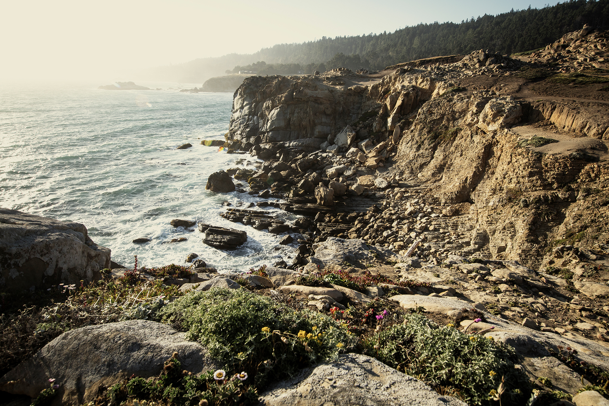 TimberCove5_U8A5123