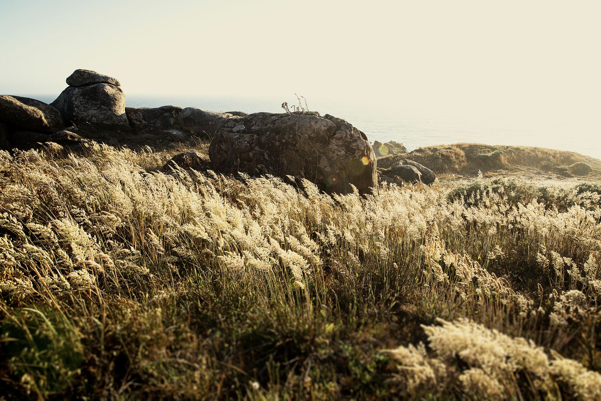 TimberCove7_U8A5303